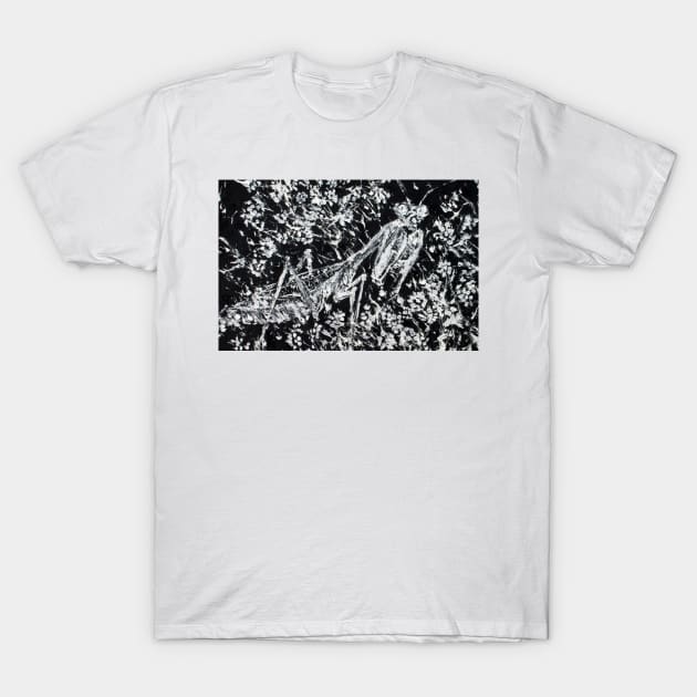 PRAYING MANTIS in the FLOWERS T-Shirt by lautir